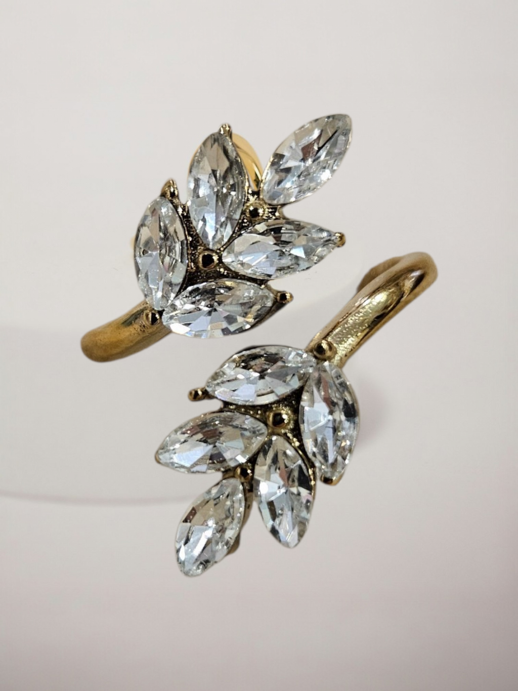 Anillo Acero Hoja Brillante