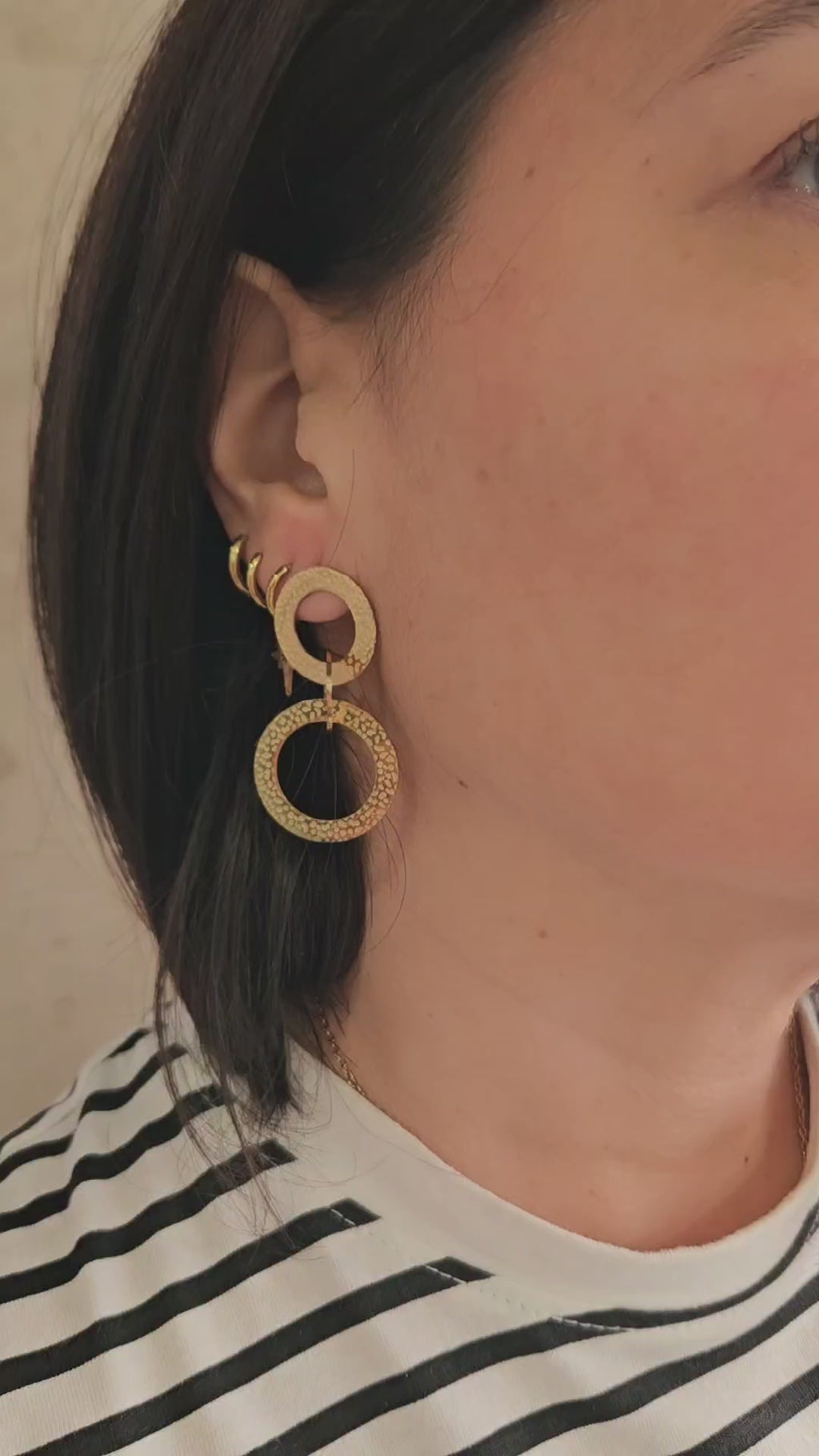 Pendientes de Acero Círculo doble